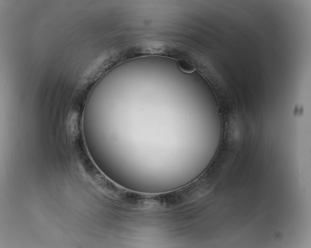 X0000113990598200910021224