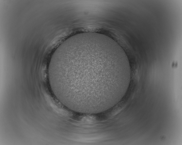 X0000113990599200910021224