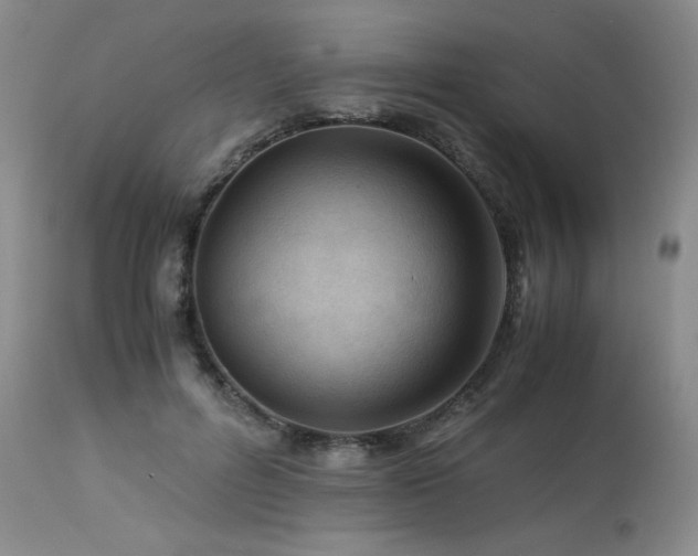 X0000113990600200910021224