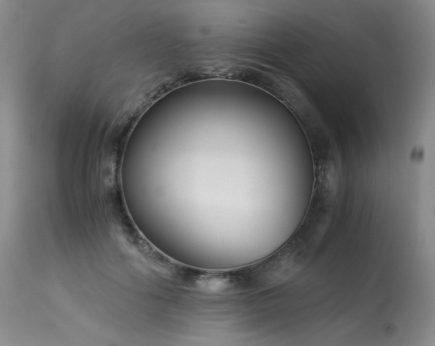 X0000113990602200910021224