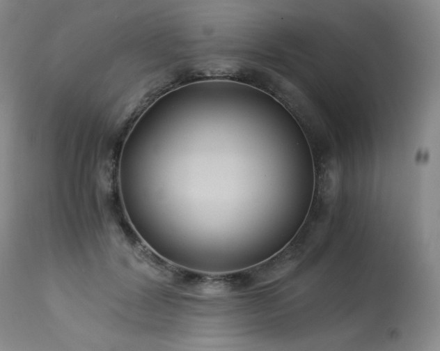 X0000113990604200910021224