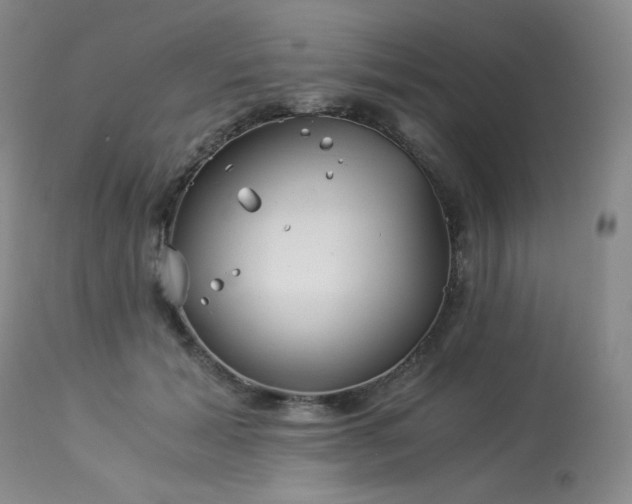 X0000113990605200910021224