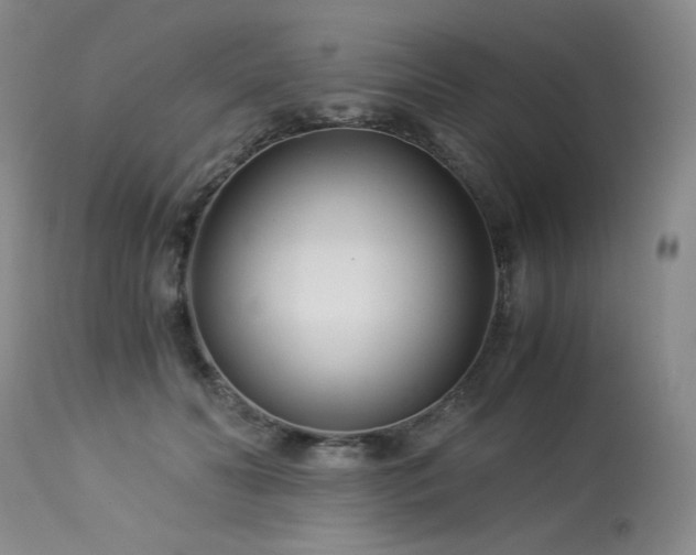 X0000113990606200910021224