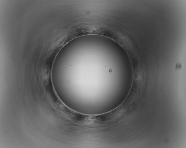 X0000113990607200910021224