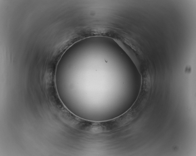 X0000113990608200910021224