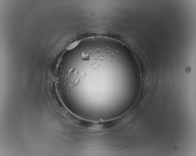 X0000113990609200910021224