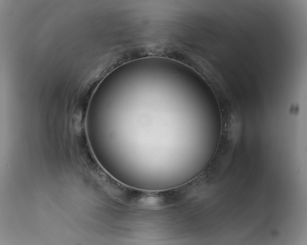 X0000113990610200910021224