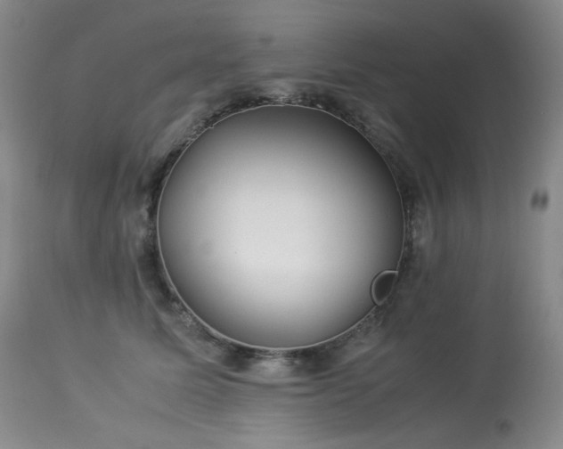 X0000113990611200910021224