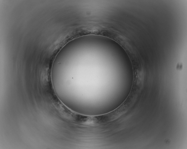 X0000113990612200910021224