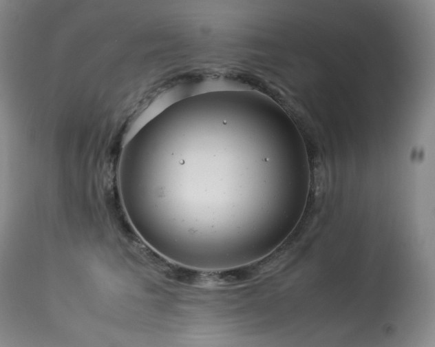 X0000113990613200910021224