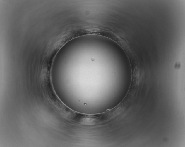 X0000113990614200910021224