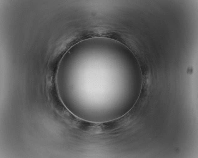 X0000113990615200910021224