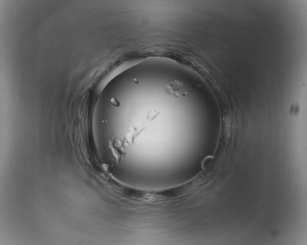 X0000113990617200910021224