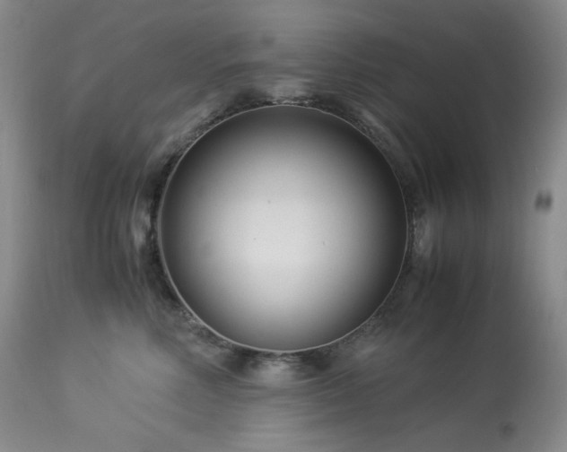 X0000113990618200910021224