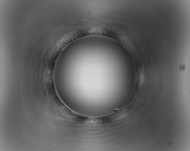 X0000113990619200910021224