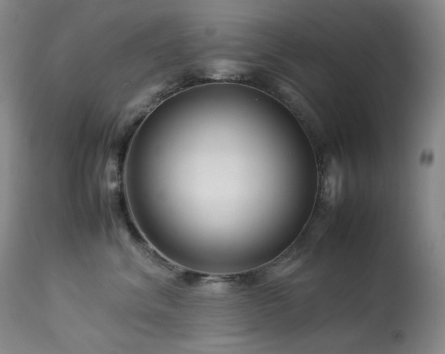 X0000113990620200910021224