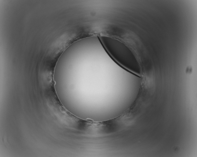 X0000113990621200910021224