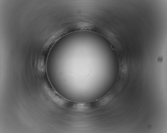 X0000113990622200910021224