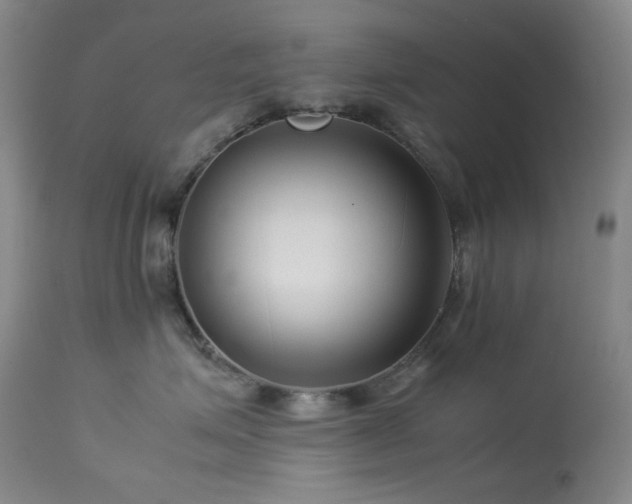 X0000113990623200910021224