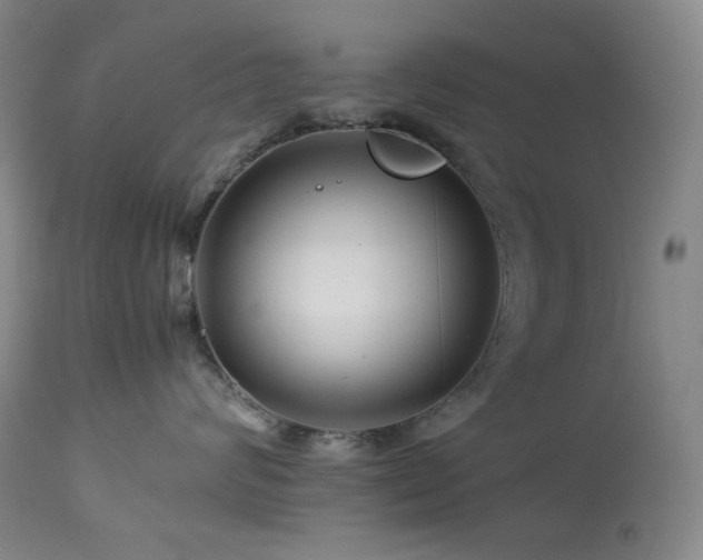 X0000113990624200910021224