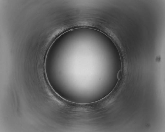 X0000113990625200910021223