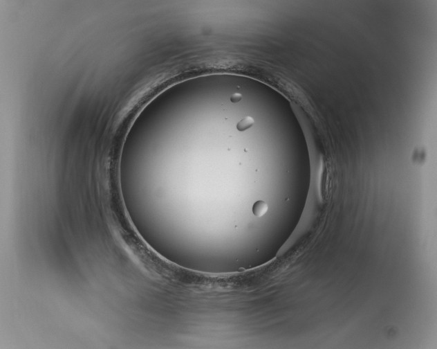 X0000113990626200910021223