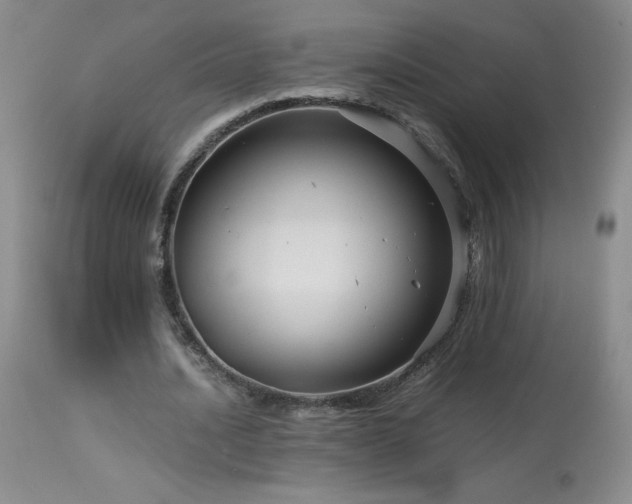 X0000113990628200910021223