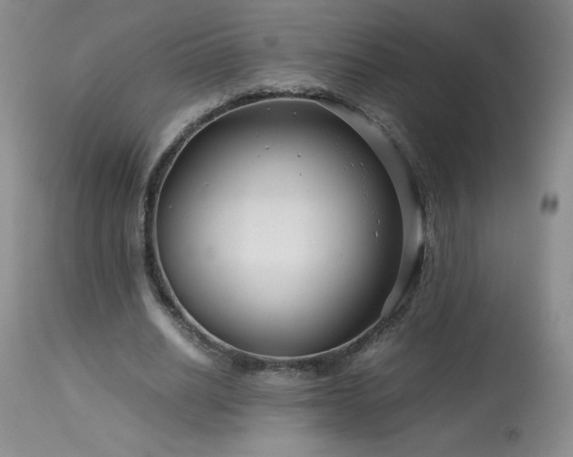 X0000113990630200910021223