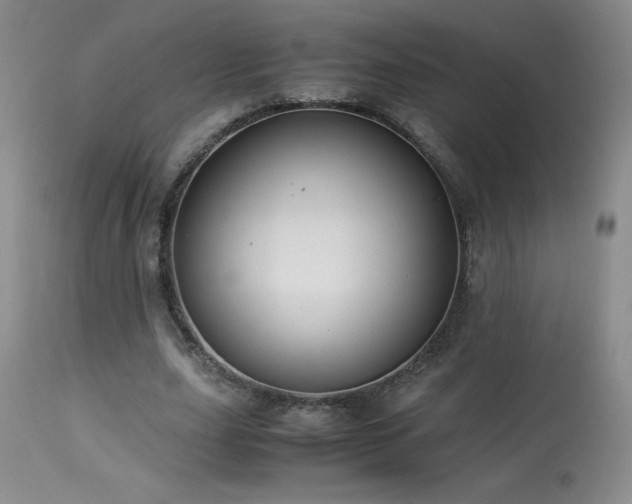 X0000113990631200910021223