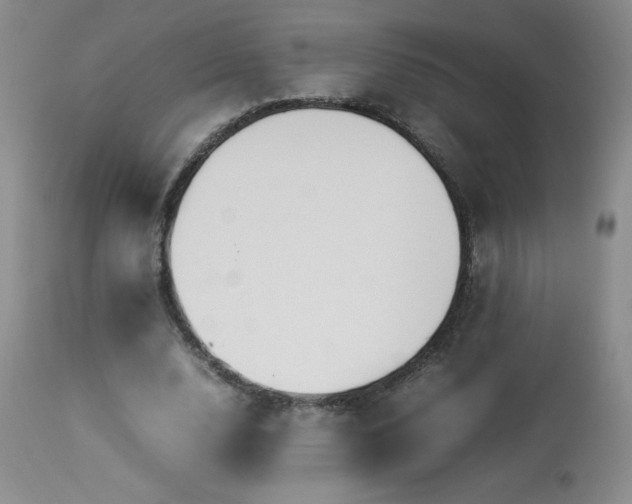 X0000113990632200910021223