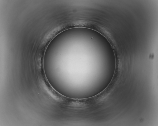 X0000113990633200910021223