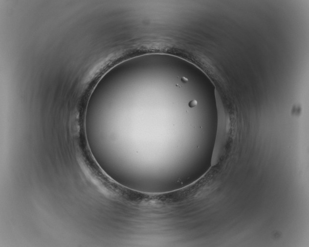 X0000113990634200910021223