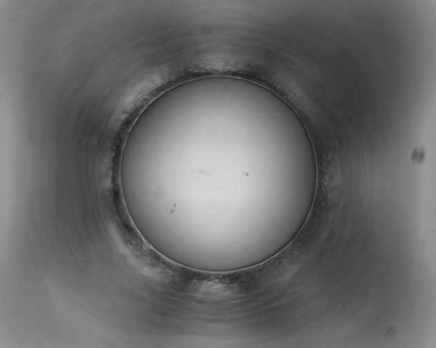 X0000113990635200910021223