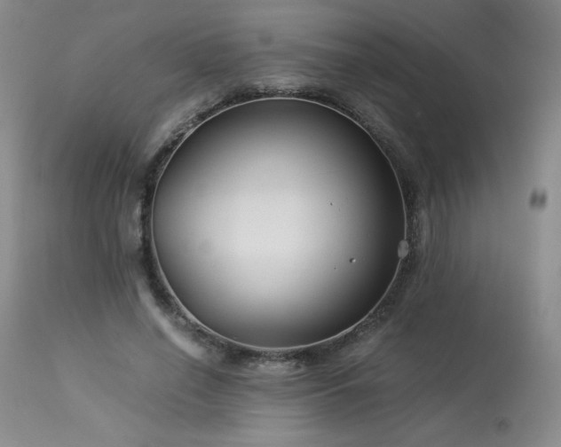 X0000113990638200910021223