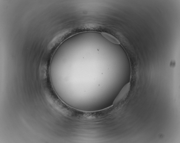 X0000113990640200910021223