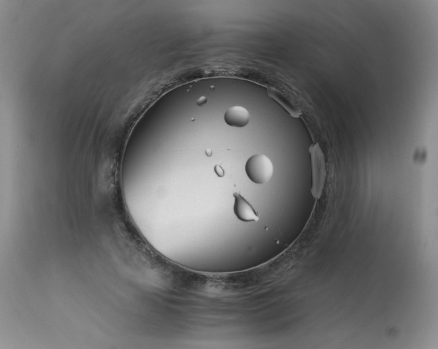 X0000113990641200910021223