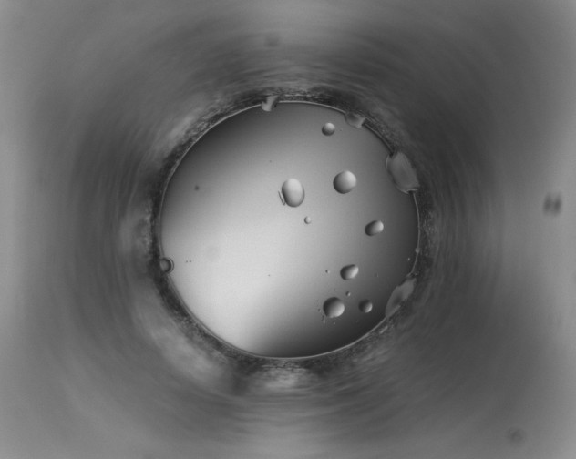 X0000113990642200910021223