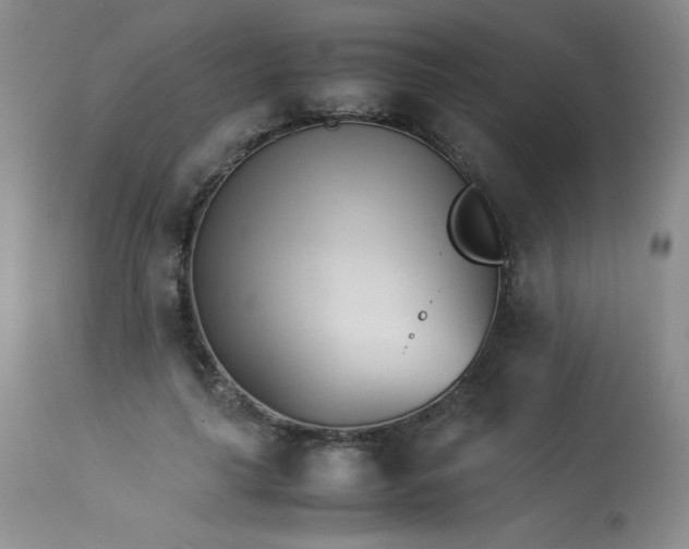 X0000113990643200910021223