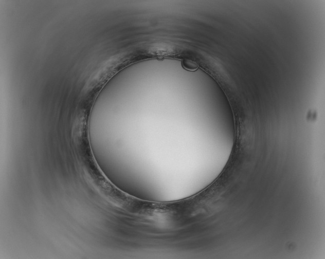 X0000113990645200910021223