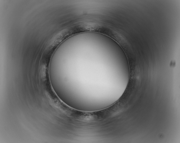 X0000113990646200910021223