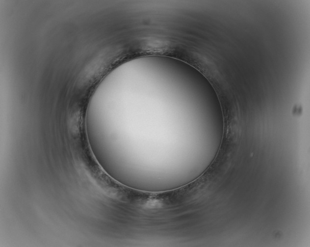 X0000113990647200910021223