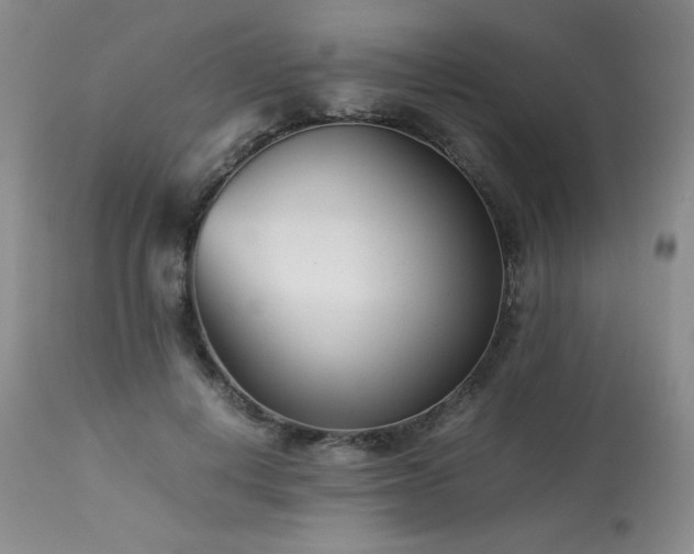 X0000113990648200910021223