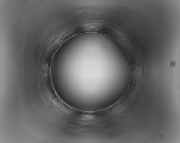 X0000113990649200910021223