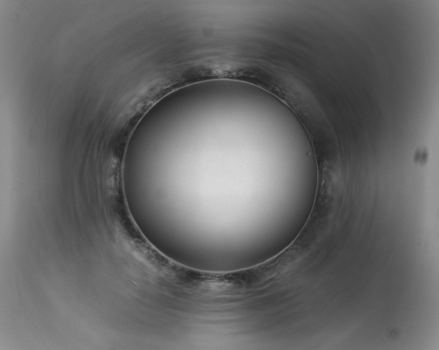 X0000113990650200910021223