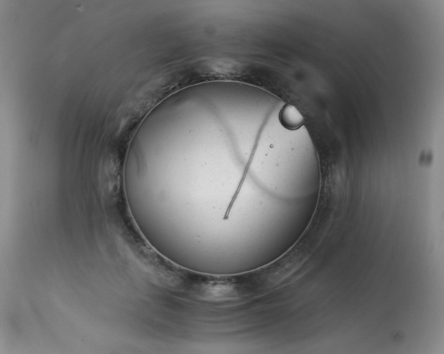 X0000113990651200910021223