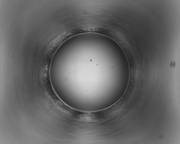 X0000113990652200910021224