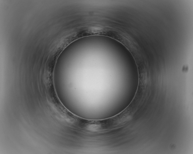 X0000113990653200910021224