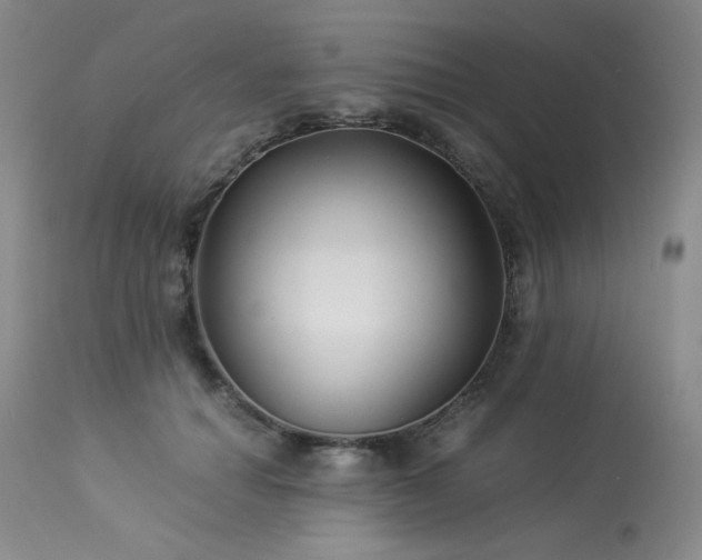 X0000113990654200910021224