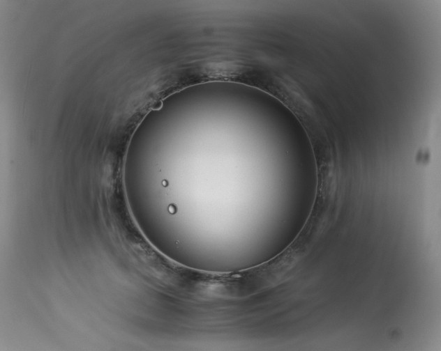 X0000113990655200910021224