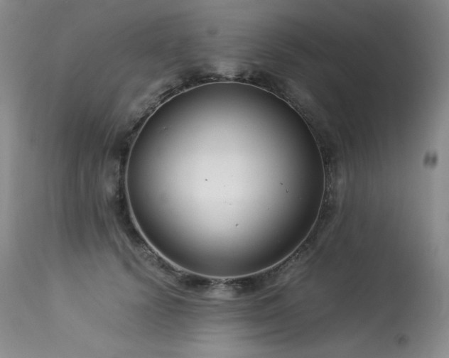 X0000113990656200910021224